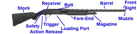 diagram mossberg  shotgun parts diagram mydiagramonline