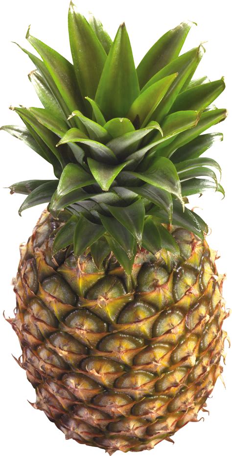 pineapple png image
