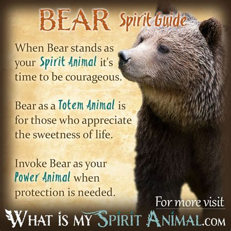 bear symbolism meaning spirit totem power animal