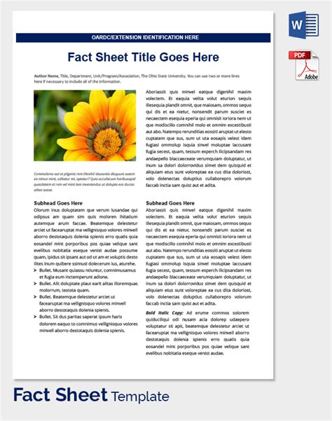 fact sheets template business mentor