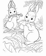 Coloring Pitchers Kids Library Clipart Bunnies Colouring Pages sketch template