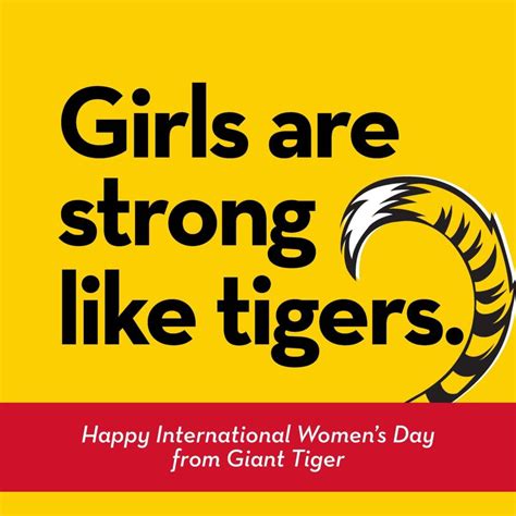giant tiger donates   canadian womens foundation canadian business