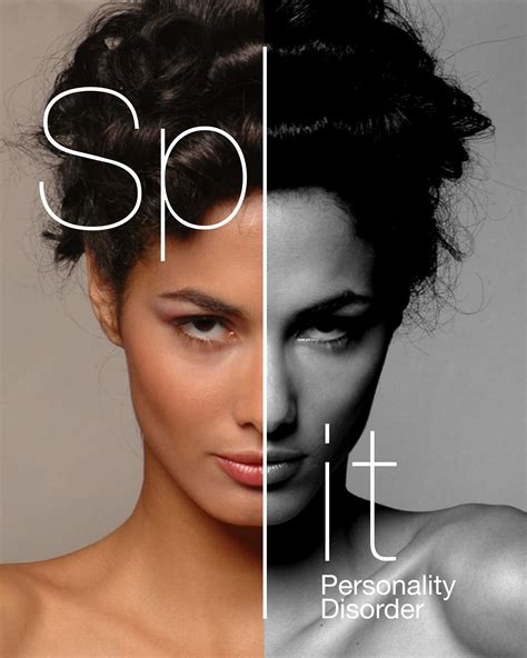 split personality booklet  behance