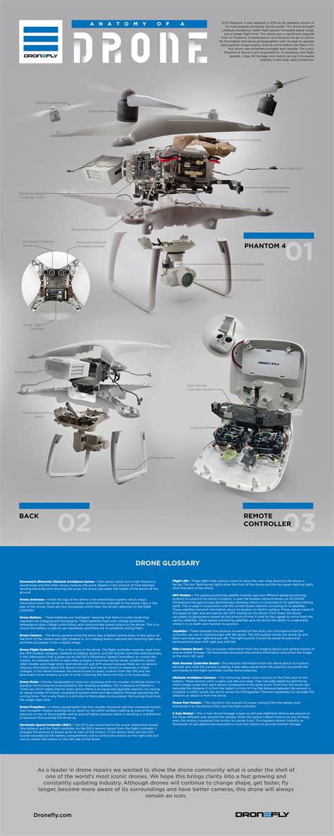 wondered whats  dronefly reveals  anatomy   drone infographic job