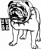 Coloring Bulldog Pages English Dog Bone Bull Outline Georgia Cliparts British Bulldogs Bones Popular sketch template
