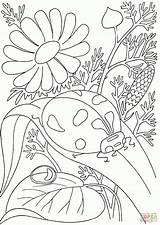 Coloring Pages Spring Adult Choose Board Adults Printable sketch template