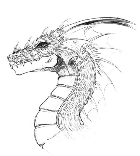 simple dragon  art dragon head  lastwarrior  deviantart