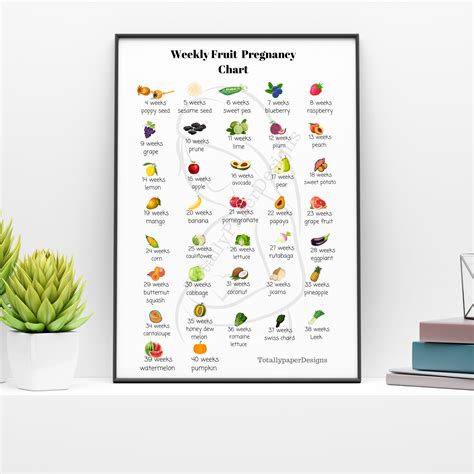 pregnancy growth weekly fruit chart pregnancy milestone chart pregnancy