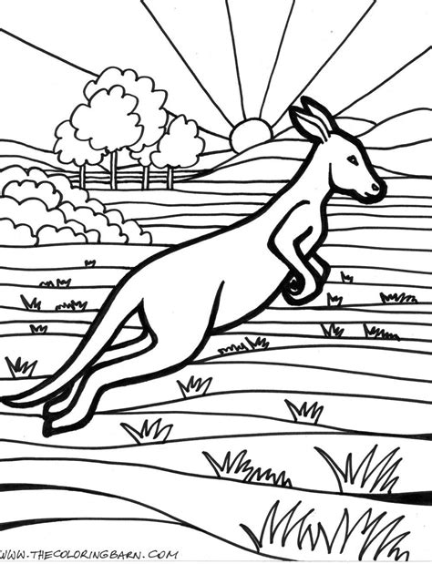 australian outback coloring pages   httpwww