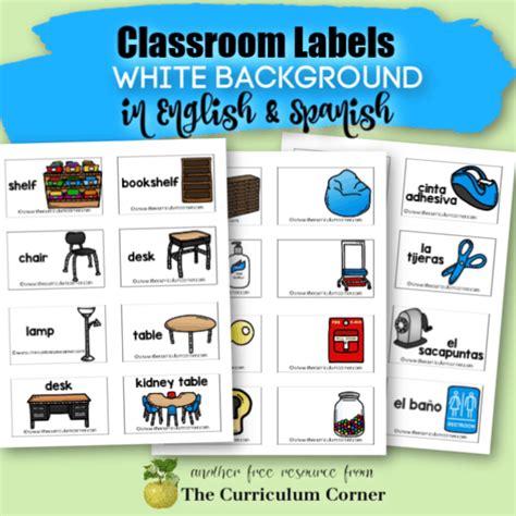 editable classroom labels  curriculum corner
