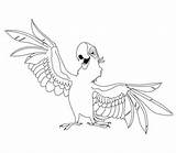 Coloring Parakeet Aladeen Choose Board sketch template