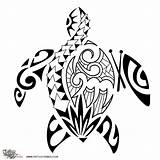 Turtle Tribal Tattoo Hawaiian Sea Maori Samoan Drawing Designs Tattoos Polynesian Honu Drawings Turtles Meaning Getdrawings Ray Tattootribes Manta Family sketch template