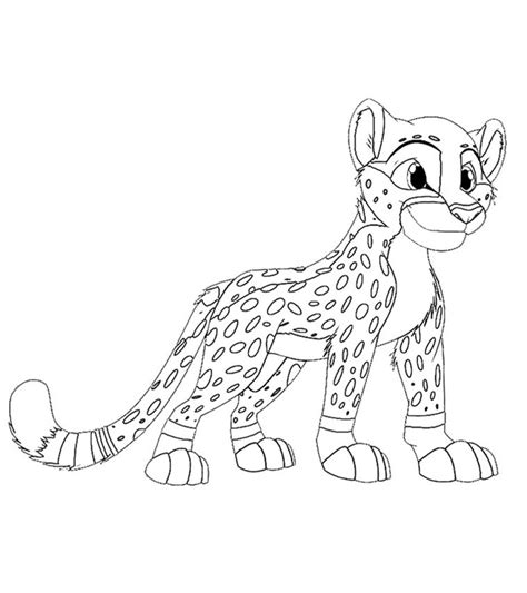 cheetah coloring pages  kids   goodimgco