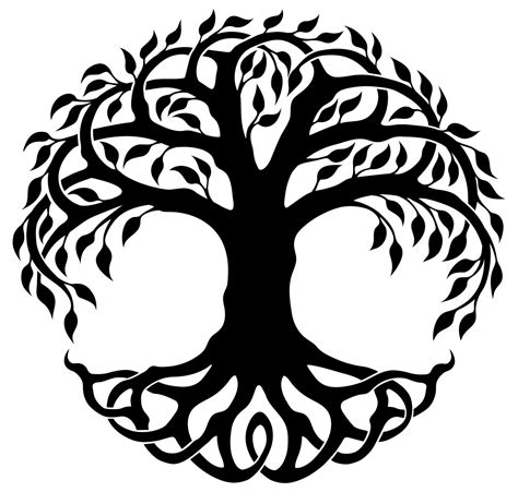 tree  life symbol understanding  symbolism meaning shop lc