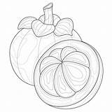 Mangosteen Antistress Fruit sketch template