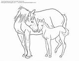 Foal Horse Coloring Pages Mare Mustang Clipart Drawing Lineart Getcolorings Getdrawings Printable Drawings Webstockreview sketch template