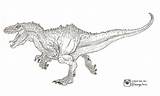 Jurassic Rex Indominus Coloring Pages Park Printable Indominous Dinosaur Drawing Spinosaurus Kids Sketchite Draw sketch template