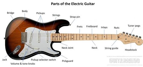 parts   electric guitar  importance   guitarriego