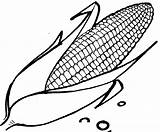Corn Elote Pintar sketch template