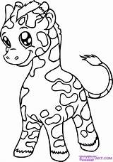 Giraf Kleurplaten Downloaden Uitprinten Giraffe sketch template