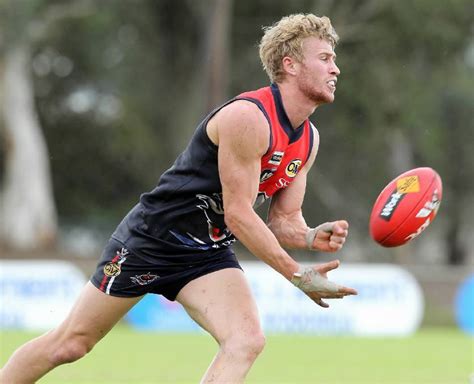 midfield star steve jolliffe returns  wodonga raiders