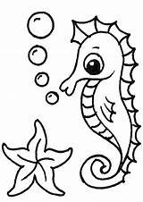 Seepferdchen Ausmalen Ausdrucken Malvorlage Ausmalbild Zeichnung Baderegeln Sommer Koník Omalovánky Pinu Zdroj Gemerkt sketch template