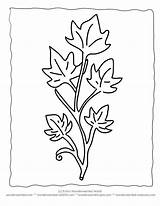 Ivy Coloring Leaf Leaves Printable Template Pages Drawing Sheets Plant Color Stencils Wonderweirded Cut Crafts Wildlife Nature Clip Pree Drawings sketch template