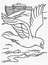Merpati Burung Mewarnai Sketsa Danau Hewan Terbang Toba Mewarnaigambar sketch template