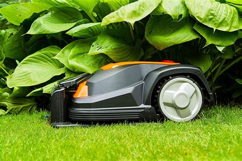 robotic lawn mower  selection     models good rater