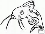 Coloring Catfish Template Printable Drawing sketch template