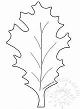Oak Leaf Leaves Autumn Coloring sketch template