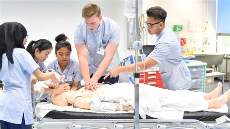adult nursing bsc hons degree course london undergraduate courses
