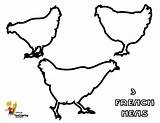 Hens French sketch template