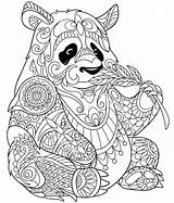 Colorir Desenhos Animal 101coloring Urso Pandas Geométricos Coloriage Zentangle Mandalas sketch template