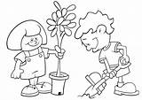 Cuidado Plantas Colorir Seleccionar Día sketch template