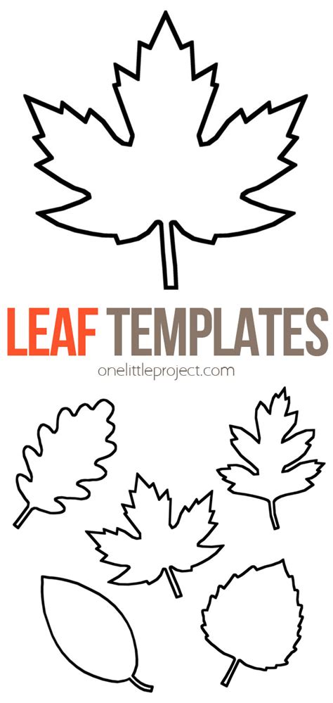 leaf template fall leaf template fall arts  crafts leaves