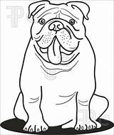 Bulldogs Desenhar Makkelijk Getdrawings Webstockreview Hond Bulldogge Clip Heartland Nasz Um Ausmalbilder Hund Anglais sketch template