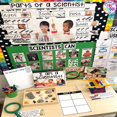 kindergarten science curriculum kindergarten