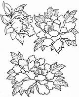 Peony Coloring Pages Patterns Embroidery Tattoo Drawing Drawings Flower Painting рисунки пионов Fabric Print Sketch Peonies рисунок Flowers для Template sketch template