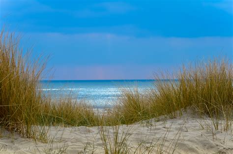 images beach landscape coast tree nature sand ocean horizon marsh cloud sky