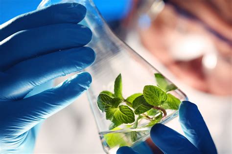 biotechnology studies innovative  progressive vdu