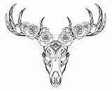 Flowers Antlers Sketch Skull Deer Coloring Boho Pages Tattoo Template Roses sketch template