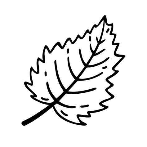 fall leaf clipart black  white leaf drawing vector clipart gk