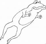 Frosch Springender Malvorlage Verkleinert Angezeigt Malvorlagen sketch template