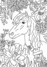 Ausmalbilder Pferd Indianer Ausmalbild Pferde Ausmalen Reiter Zeichnen sketch template