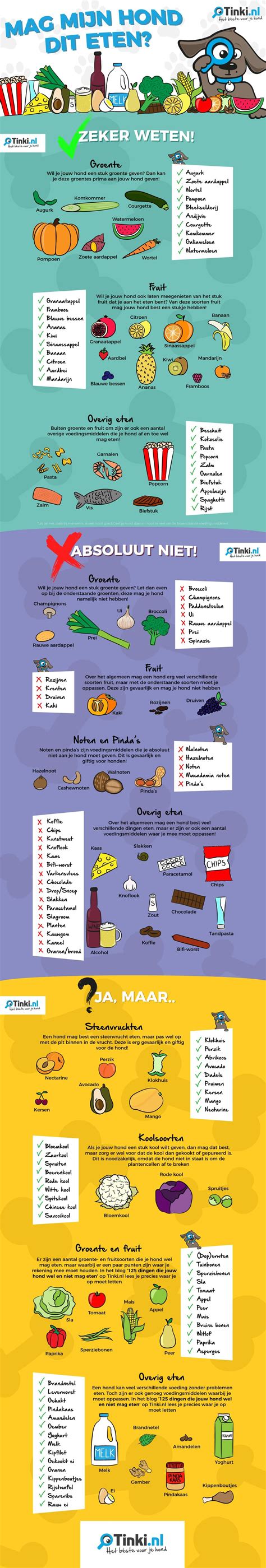 de ultieme lijst met  dingen wat jouw hond wel en niet mag eten  infographic