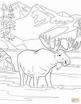 Coloring Park Denali National Pages Printable Drawing sketch template