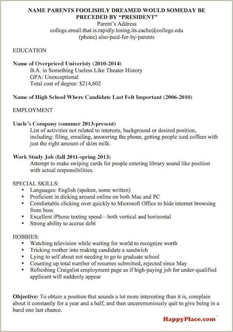 resume summary  college resume  gallery