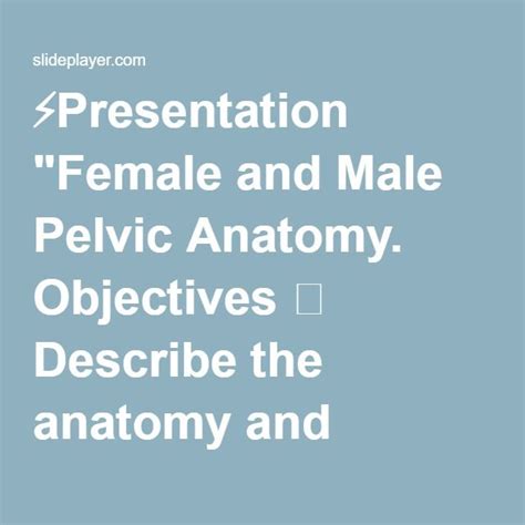 ⚡presentation Female And Male Pelvic Anatomy Objectives Describe The