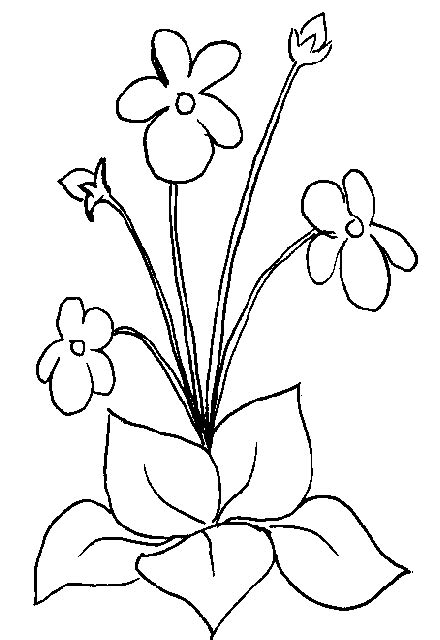 pin  websitepba  painting  glass flower coloring pages violet